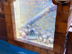 -新加坡水上探险乐园