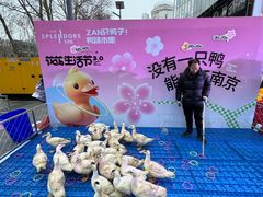 -金茂览秀城