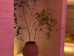 -舒小悦·暖冬SPA·古法推拿(光环中心店)