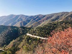 -香山公园