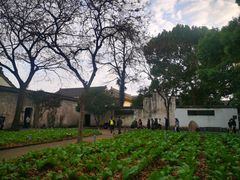 -绍兴鲁迅故里·沈园景区