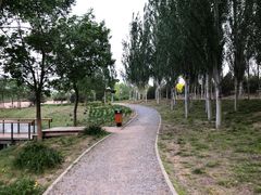 -东郊湿地公园