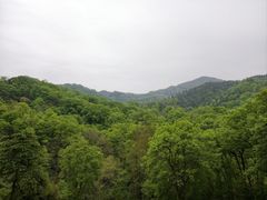 -波尔登森林公园