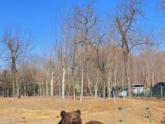 -秦皇岛野生动物园