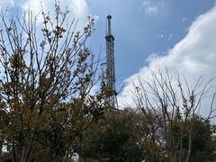 -南京老山国家森林公园