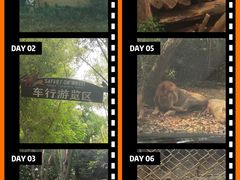 -海南热带野生动植物园