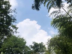-紫金山山顶公园