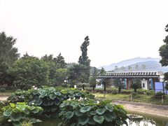 -国家植物园南园