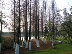 -艾溪湖湿地公园