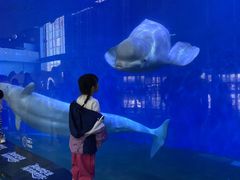-泉城欧乐堡海洋极地世界