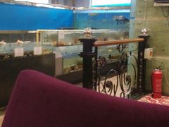 -大东方海鲜酒楼(小武基桥店)
