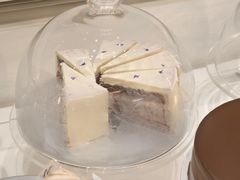 -Lady M(沙田新城市广场店)