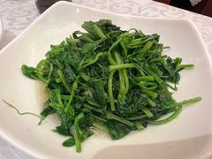 清炒豆苗-永兴餐厅(复兴中路店)