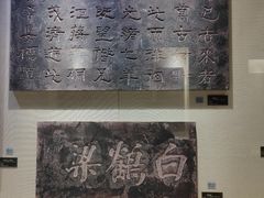-白鹤梁水下博物馆