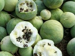 -钟掌勺忘不了地道湘菜(新天地假日广场店)