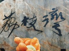 -成裕雪糕店(士多店)