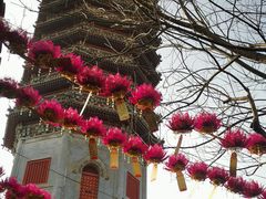 -西海子公园