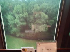 -常州环球恐龙城维景国际大酒店