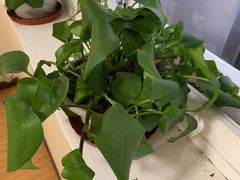 -四合居(柳云路店)