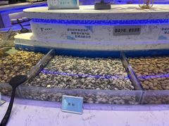 -澜悦港海鲜体验主题餐厅