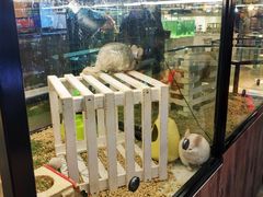 -宠物世家(仲盛世界商城店)