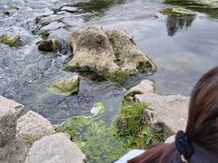 -花溪公园