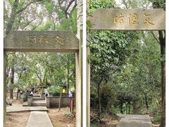 -上海佘山国家森林公园天马山园