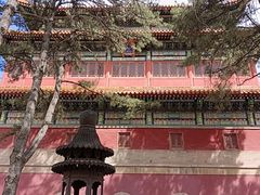 -普乐寺