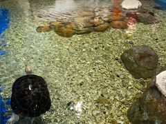 -顺德南宏海立方海洋公园