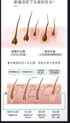 -Bollins波林丝•专研护发中心