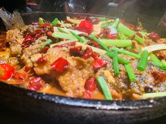 -老板恋上鱼(高新万达店)