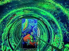 -梵高星空艺术馆(北京旗舰店)
