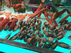 海鲜-马哥孛罗酒店·SAVVY全日餐厅