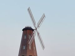 -大塘金香草谷