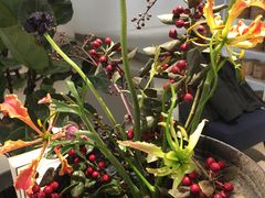 -张一元茶庄(望京店)