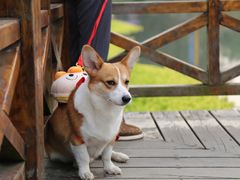 -桤木河湿地公园