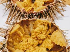 -海胆小馆(东北水饺·春柳店)