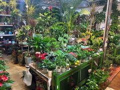 -朝来春花卉市场