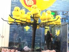 -天津梵高星空艺术馆(天河城旗舰店)