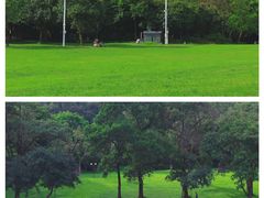 -莲花山公园