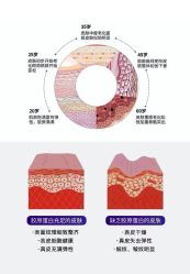 点击看大图 -汉棠汉方·美肤调体