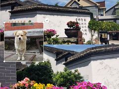 -龙坞茶村