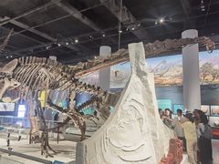 -国家自然博物馆