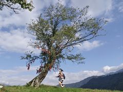 -硗碛藏寨·神木垒景区