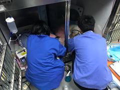 -北京派仕佳德动物医院·超导核磁·CT·神经科·骨科·内外科·急重症管理中心