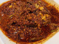 -柴窝堡22号辣子鸡·传承新疆菜