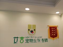 -艾吉宠物医院·疑难杂症转诊中心·猫友好(碧江路院)
