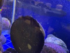 -渔洲情海鲜酒家