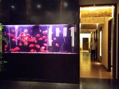 -大唐盲人按摩中心(黄山路店)