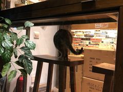 -猫的天空之城概念书店(杭州南宋御街店)